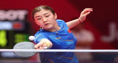 团队效应 团队效应