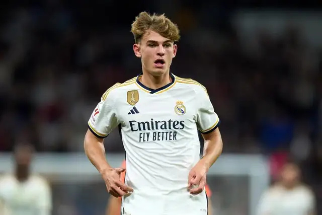 会专题询问 会专题询问