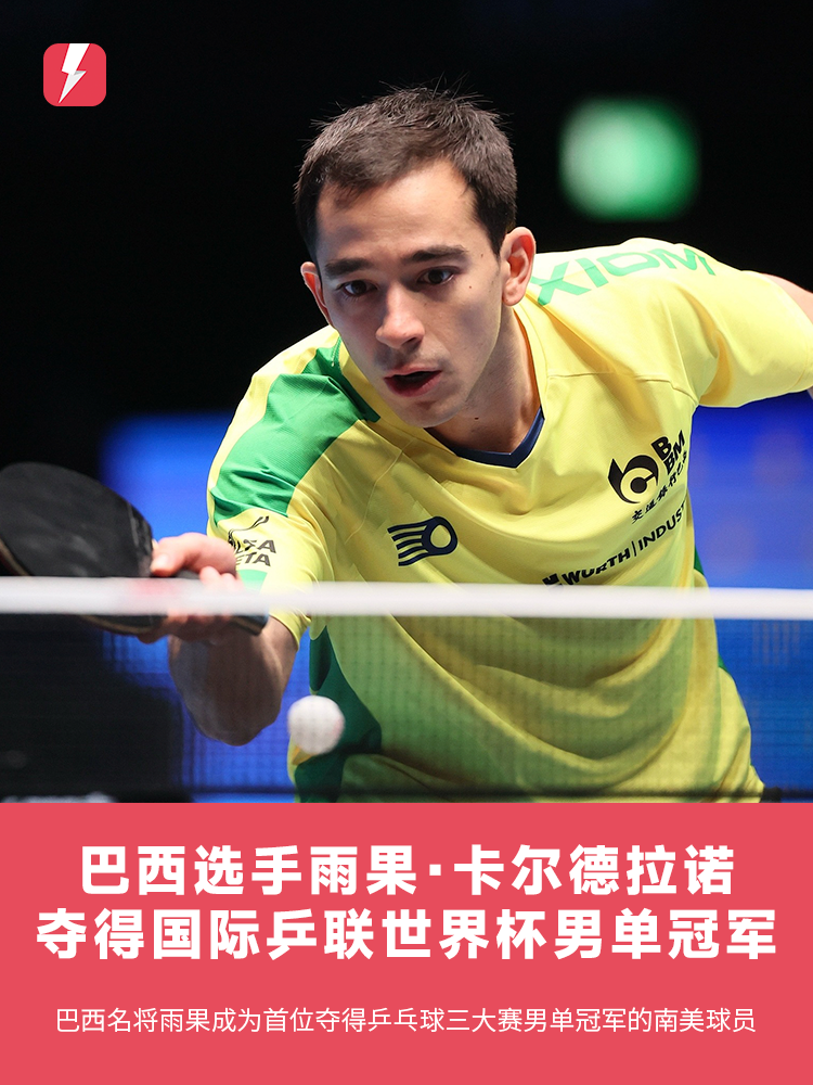 已占据绝大 已占据绝大